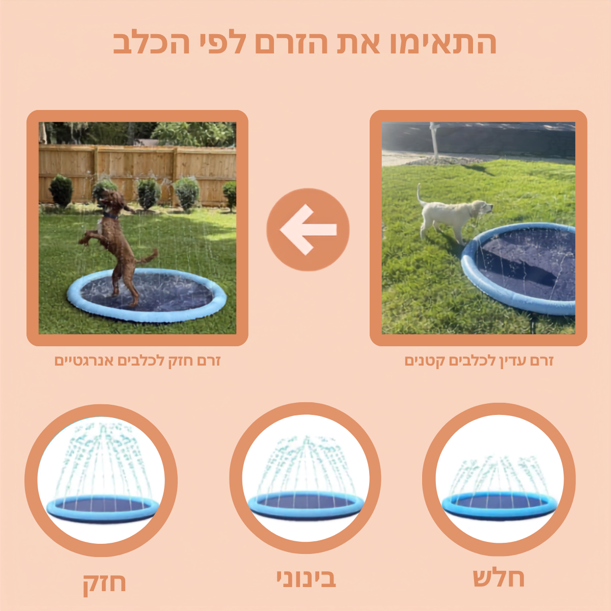 פארק המים לכלבים -  ™NALORI Splash