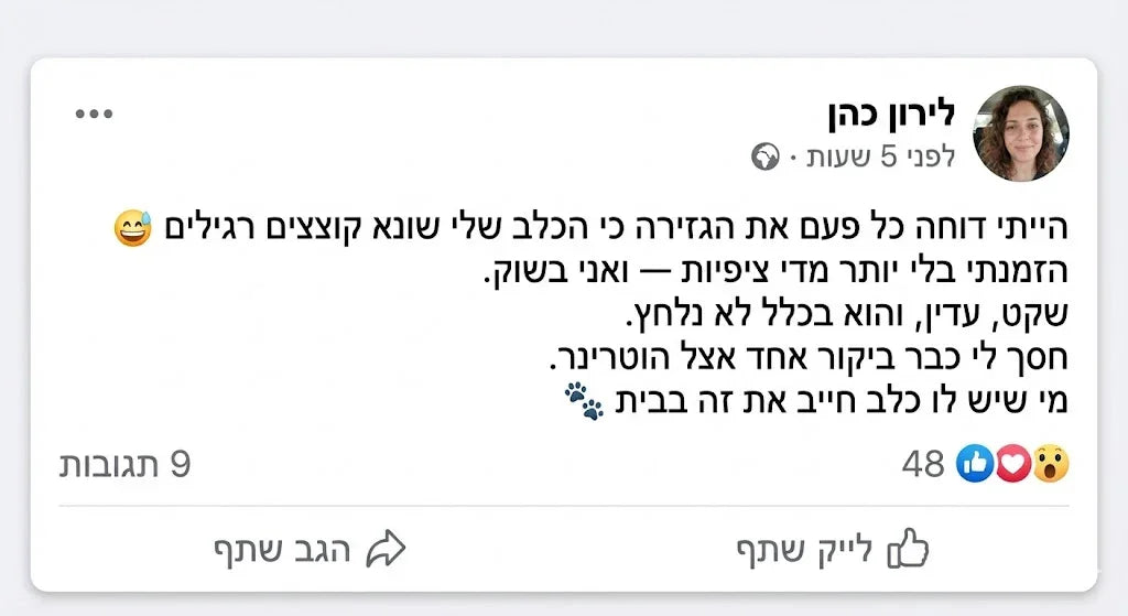 טסטמוניאל לקוח