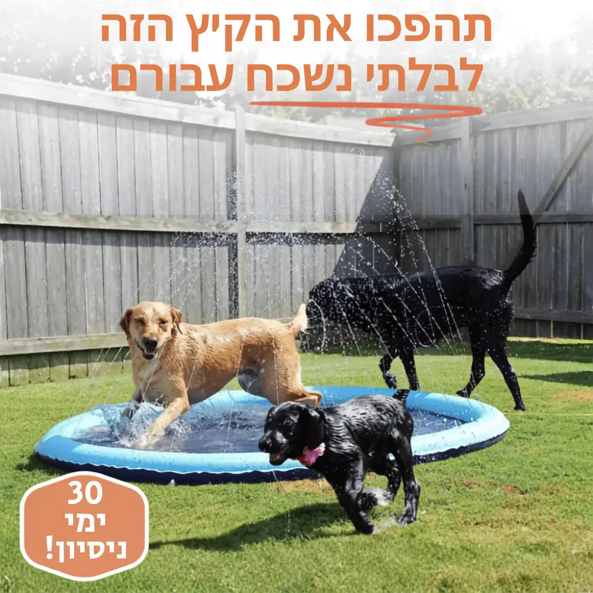 פארק המים לכלבים -  ™NALORI Splash