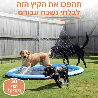 פארק המים לכלבים -  ™NALORI Splash