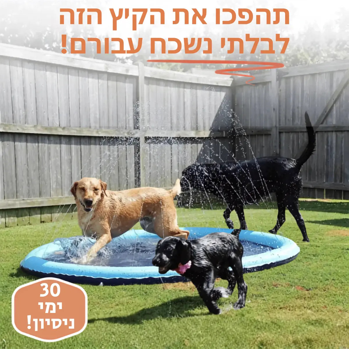 פארק המים לכלבים -  ™NALORI Splash